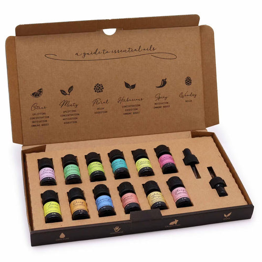 Aromatherapy Essential Oil Set Top Ten Fragrances